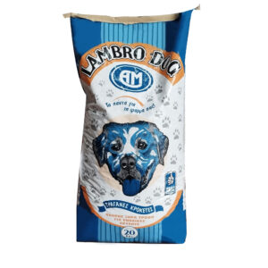 lambro-dog