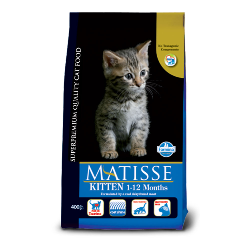 Matisse Kitten 1-12 Μηνών